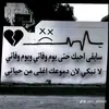 user4081621217413