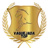 Vaquejada top