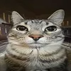 snpitxx