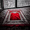 shafqatmeyo441