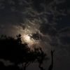 eool_02