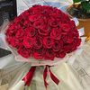 aishaali542