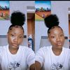 spammz33_