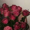 a_888825