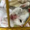 cuteheheheh_