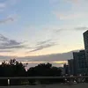 sillypeanutbuttercookie