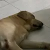 dd0vv1fggf