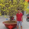 daicathaylam