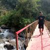 firsofee