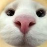 emujin.ganbold
