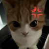 taxx_76