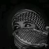 anaa.hylaa