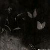 withonly_emaa