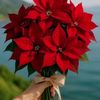 user9711140057067