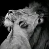 alasde9_