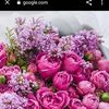 user7400274605320