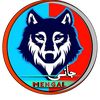 jani_mengal_009