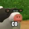 palii_360