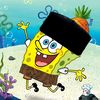 raihan.han24