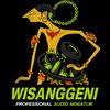 wisanggeniproaudio30