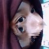 wei_slmaa