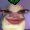 jierreiii