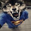 bodyaralphov11