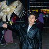 amaid.shafqe