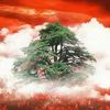 lebanon.ibra