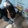 lauuuu_1891