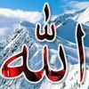 habeeb.mohamed4