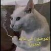 fans_de_c_kan123