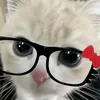 haylla_9