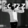 legalzim1