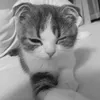 ngocghettanhh_09
