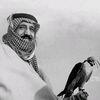 aohamed_2456602