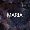 maria.santos3615