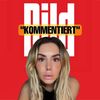 bildkommentiert