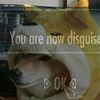 pennyrp4