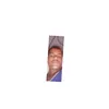 arlemjunior.ferre