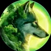 nikolas.dnz
