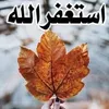 sirwan.dllsahd