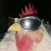 alenkoo67