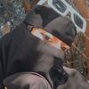 laylakhali5