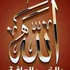 user6914256135213