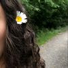 arc_anaaa