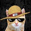 kapnkat1