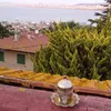 lamassat.hayati