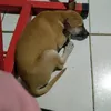 Tạp hoá online