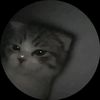 user4410394258549